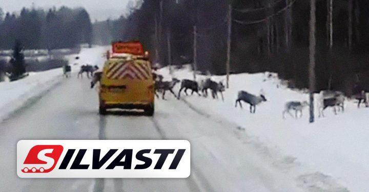 Silvasti Team Knows the Challenges of the North