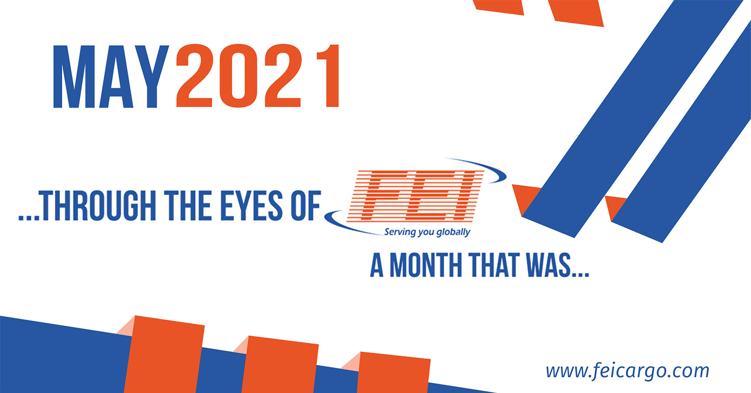 Through the Eyes of FEI (May 2021)
