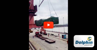 Dolphin Logistics Shipped a Cold Box from Shanghai to Saint Petersburg