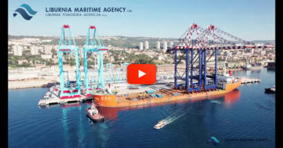 Liburnia Group Assisted with the Safe Unloading of these Massive Cranes in Rijeka