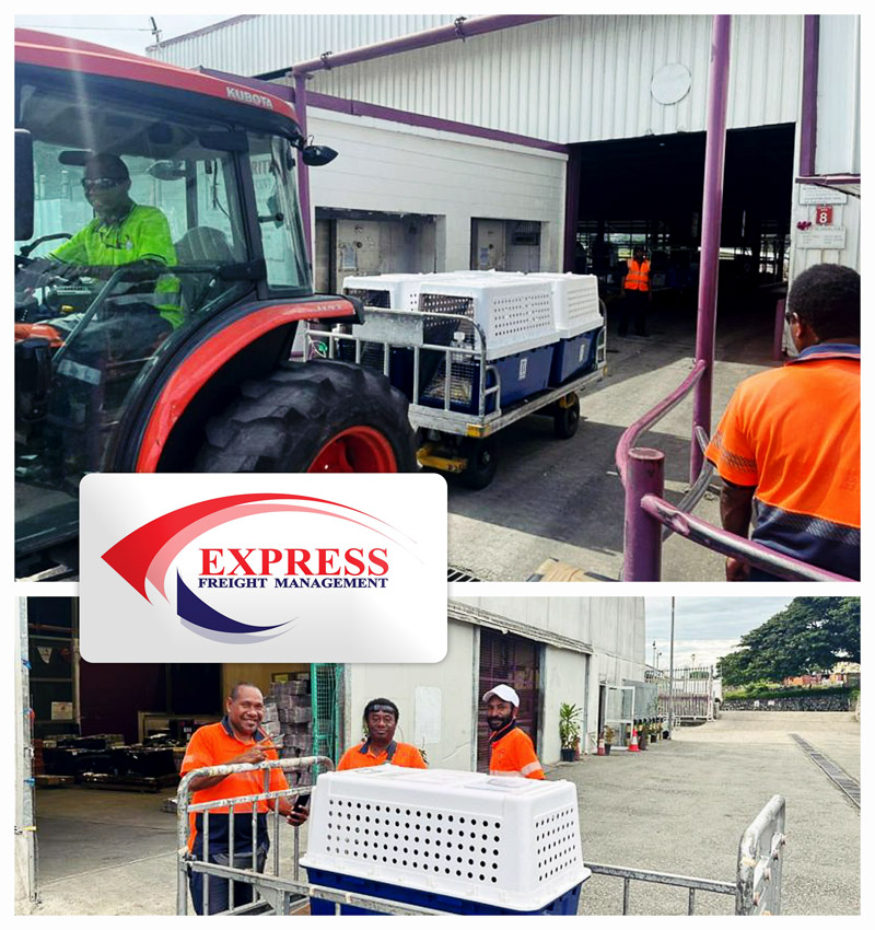 Express Freight Management Performed the Import Clearance, Checks and Delivery of a Group of Live Animals